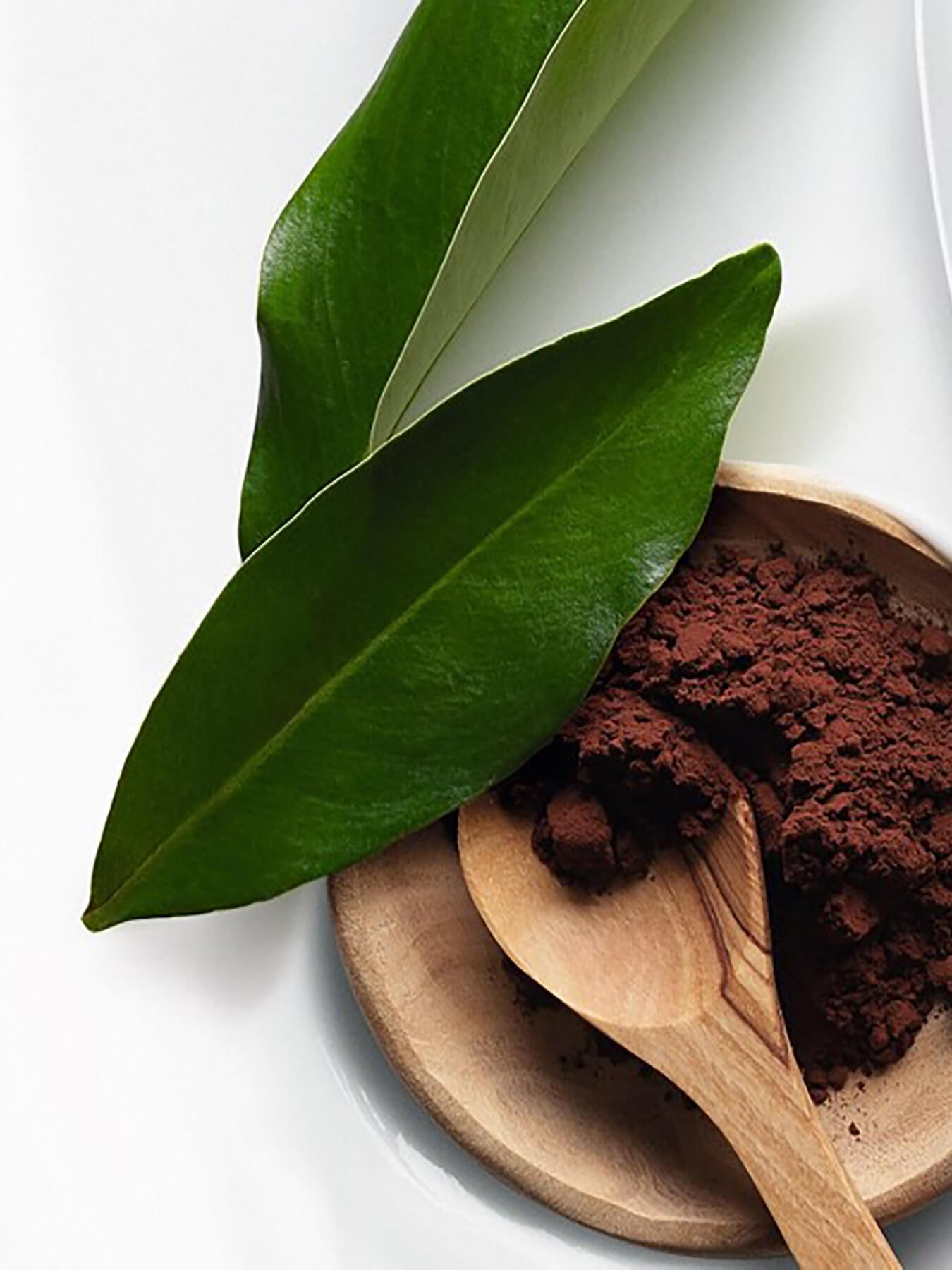 Ingrediënt cacao